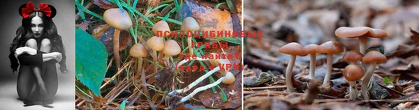 мефедрон VHQ Вяземский