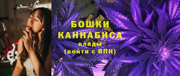 мдпв Вязьма